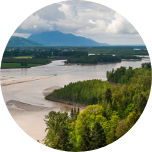 Shallow water and sand surrounded by trees, in Abbotsford (Canada).