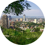 Trees and greenery at the forefront, with Hamilton city (Canada) in the background.