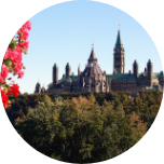 Tree tops in Ottawa, Canada, with pink flowers in the forefront and a grand building in the background with lots of spires.