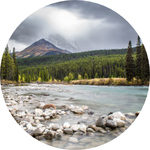 A shallow stony river, with a green forest and a large mountain in the background.