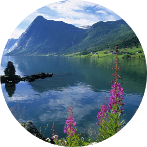 Large body of water with greenery and mountains in the background, and purple flowers in the forefront.