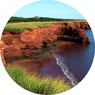 Water washing up to some red stone cliffs, with a flat grassy area on top.