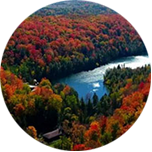 A scene of green and red topped trees, with a river in the opening of the trees in Caledon, Canada.