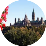 Tree tops in Ottawa, Canada, with pink flowers in the forefront and a grand building in the background with lots of spires.